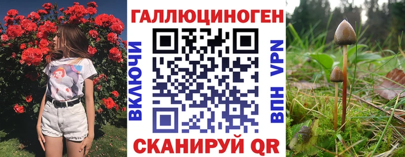 где продают наркотики  Самара  Псилоцибиновые грибы Magic Shrooms 