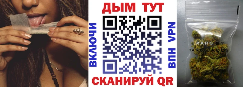 Каннабис сатива  наркошоп  Самара 